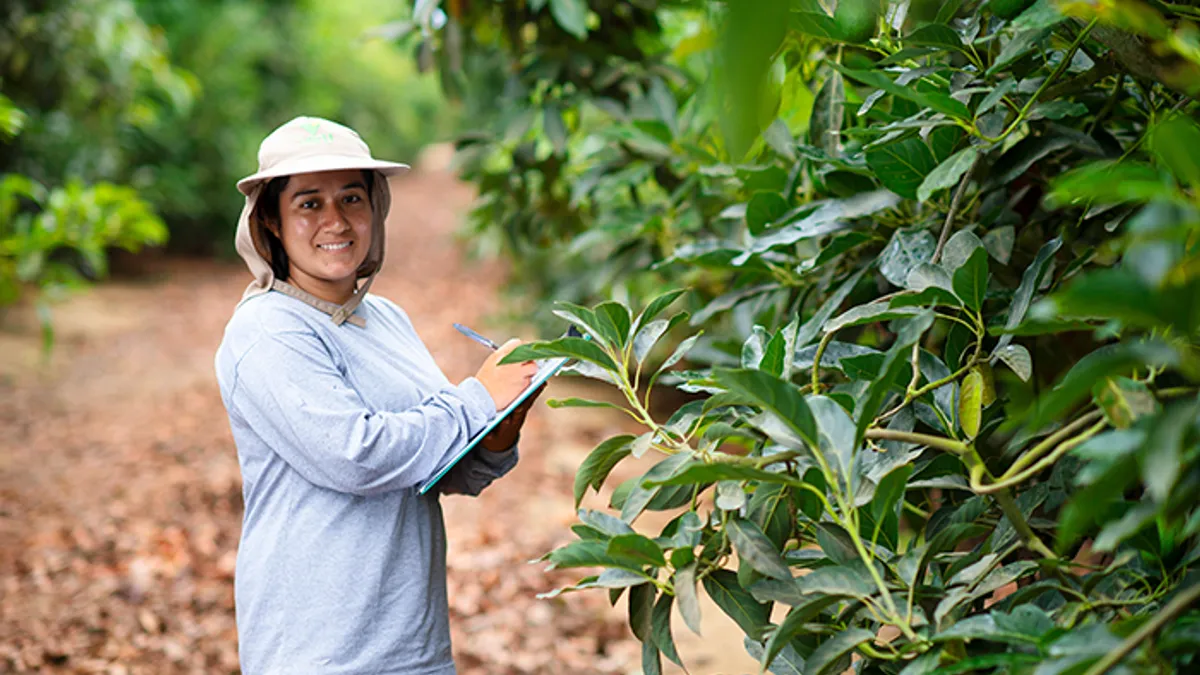 Person standing next to plant with clipboard