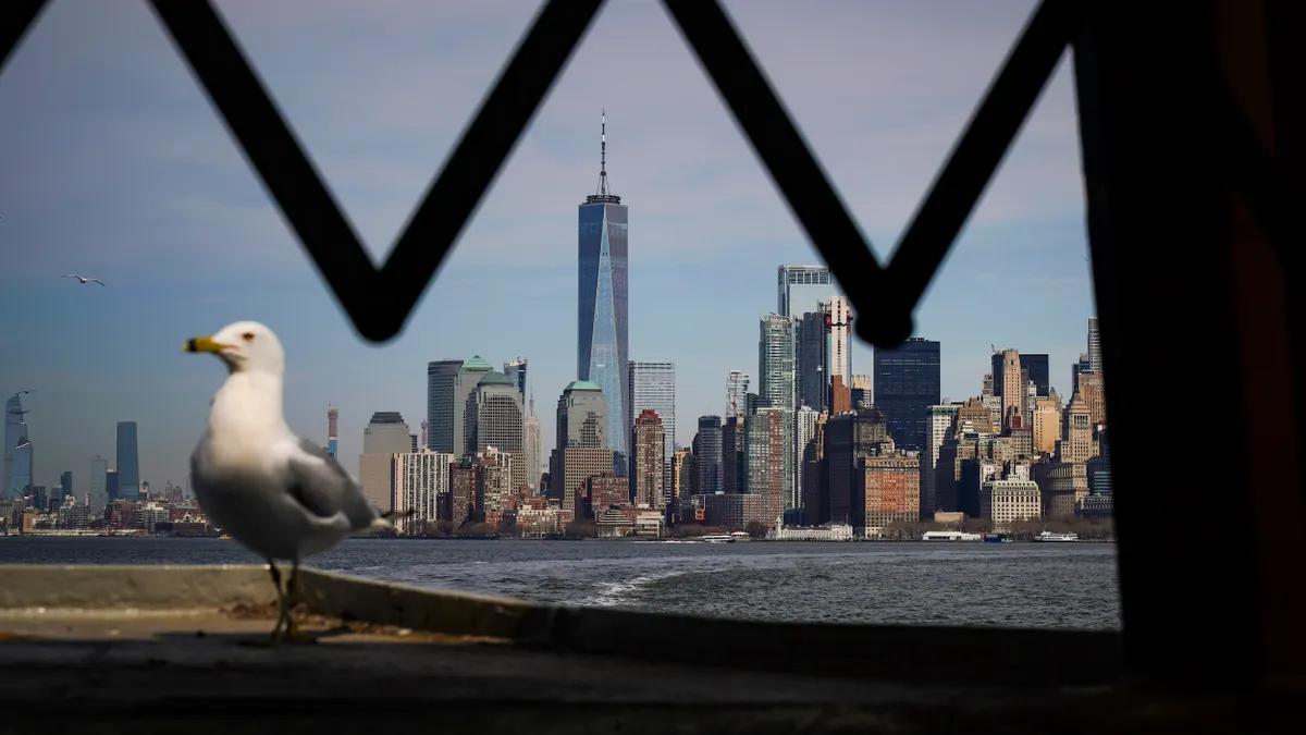Close up view of a seagull standing on a ferry, New York City skyline in the background
