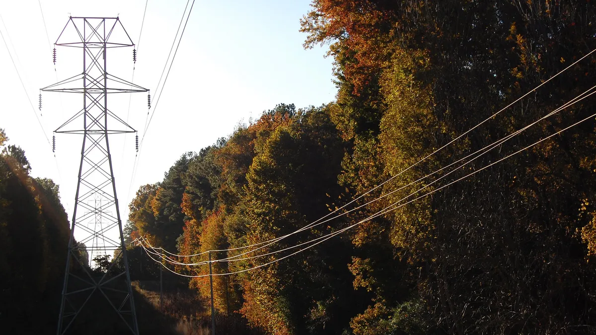 Power lines running through the woods in North Carolina.