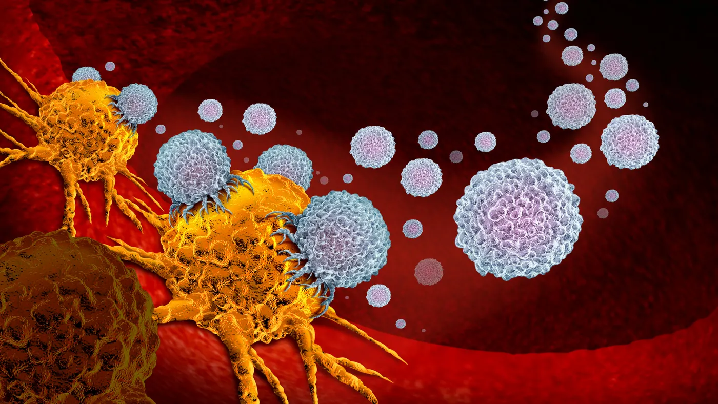cancer vaccine therapy