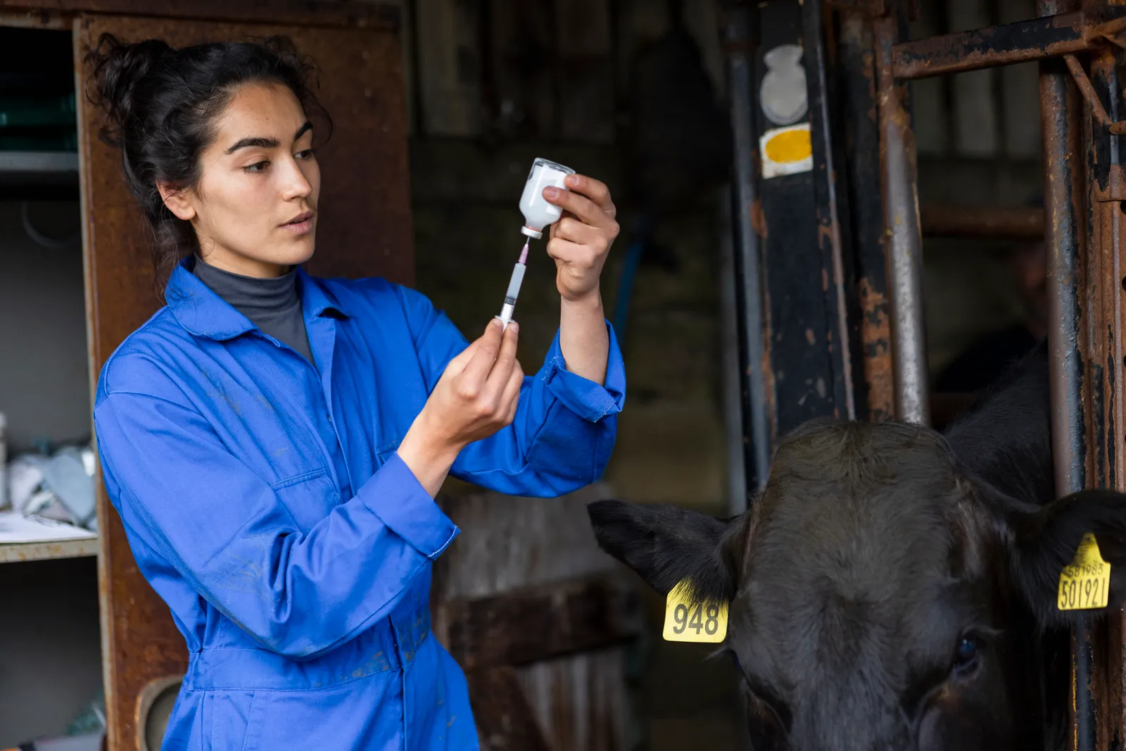 Cultivated meat, alternative protein