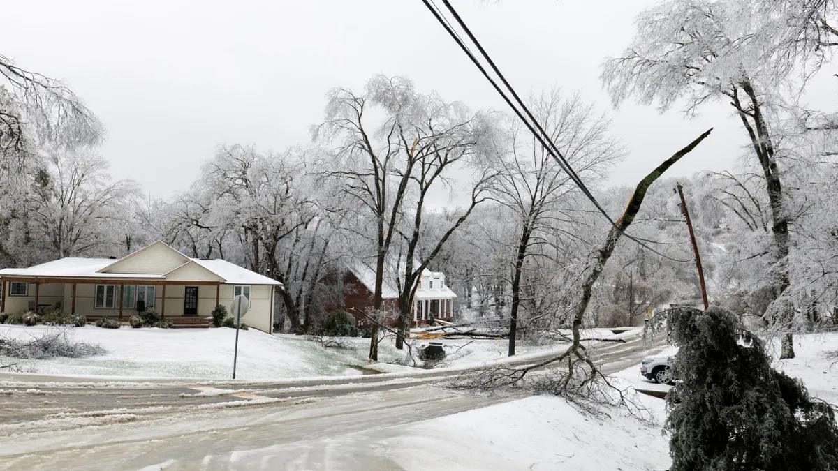 Fallen branches and trees lay across roadways and utility lines during a winter storm.