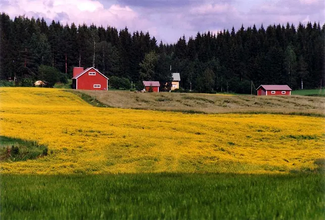 Vehicles In Rural Community High-speed broadband, autonomous vehicles and small-town and rural ...