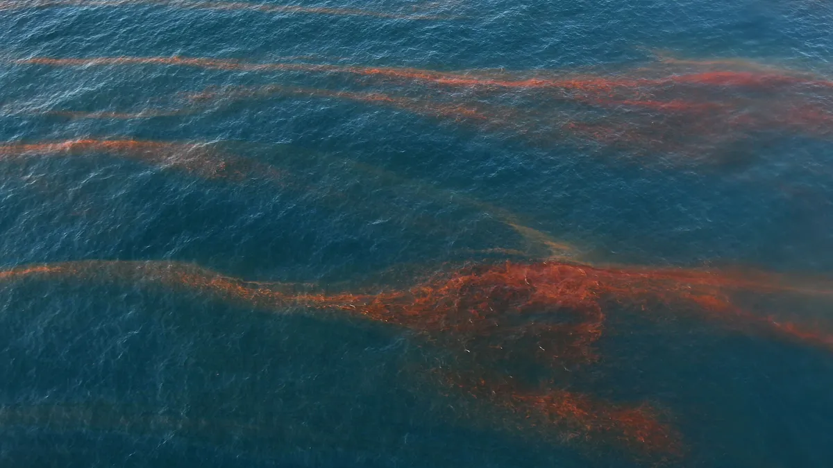 Bands of oil drift with ocean currents