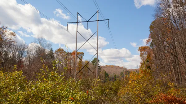 An electric transmission line in the fall woods.