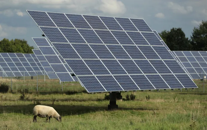 Virginia defines agrivoltaics, expanding opportunities for solar