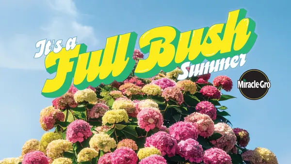 Miracle-Gro's Full Bush Summer campaign