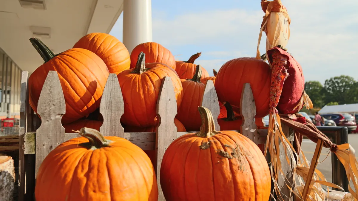 Grouping of pumpkins.