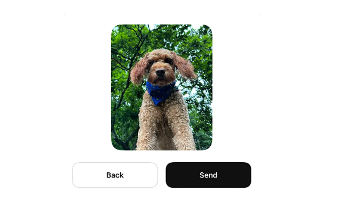 Threads images in DMs