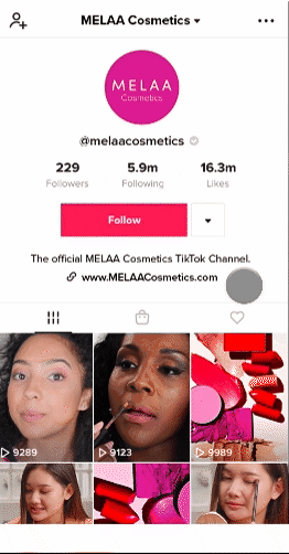 TikTok in-stream shopping