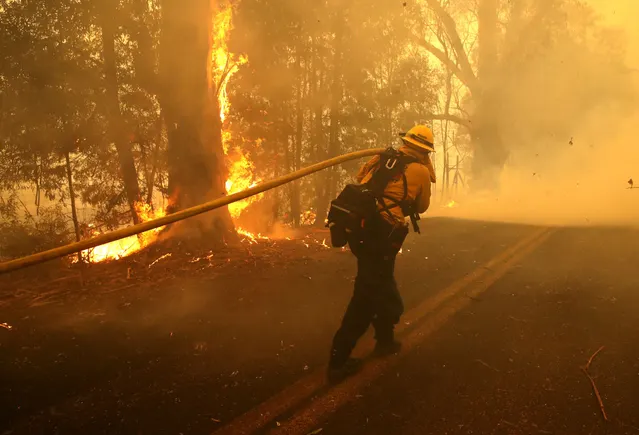 Wildfires weigh on PG&E as California sees modest large load demand