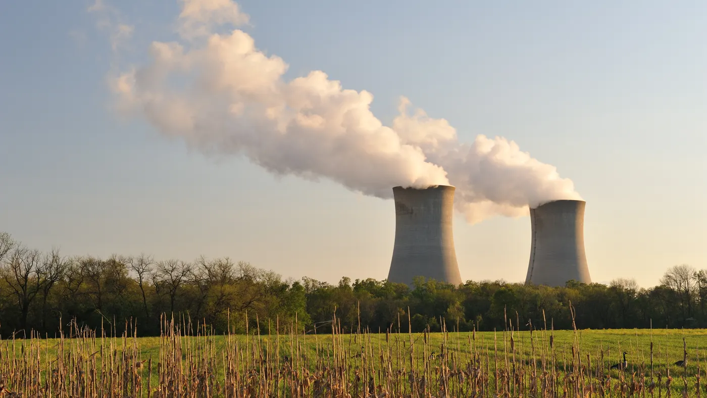Two cooling towers at Constellation Energy's 2,300-MW Limerick nuclear power plant in Pottstown, Pennsylvania.