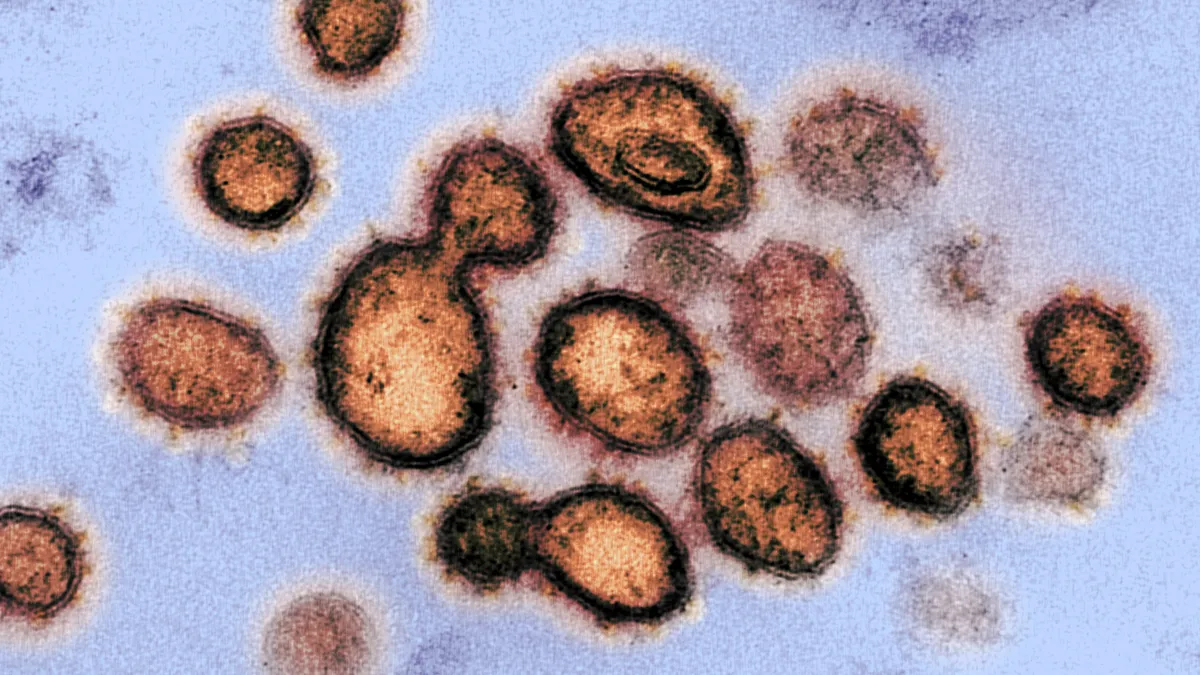 This transmission electron microscope image shows SARS-CoV-2, the virus that causes COVID-19, isolated from a patient in the U.S.