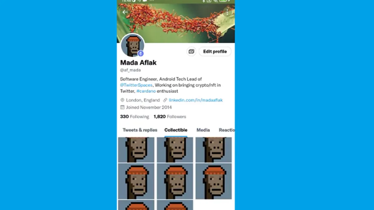 Twitter NFT display