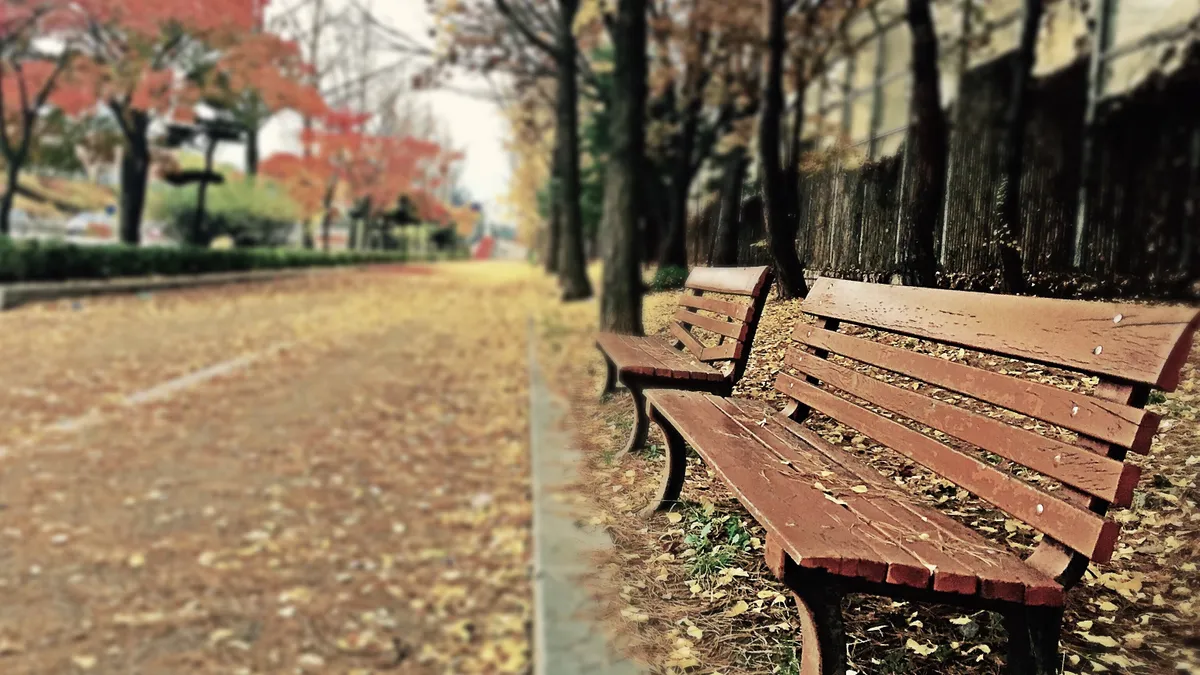 empty path and benches during the fall