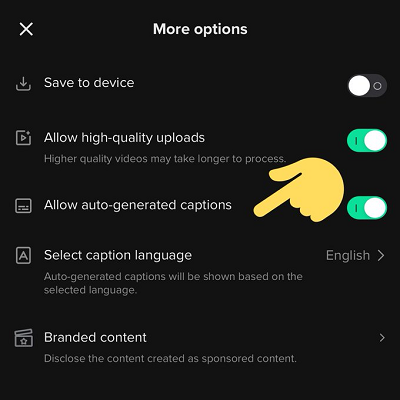 TikTok auto captions controls