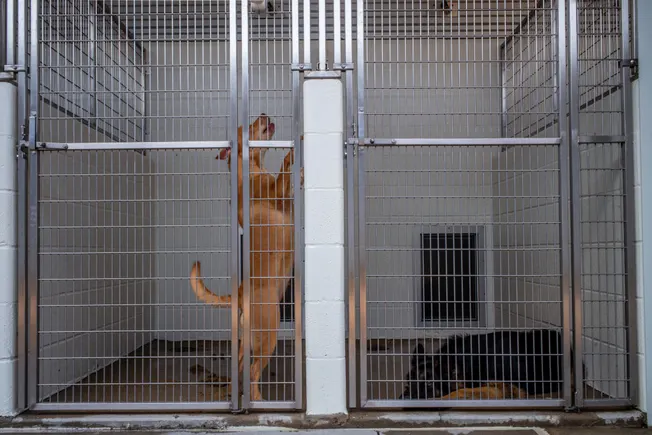 Poor treatment after WFH accommodation not evidence of disability bias, 11th Circuit says