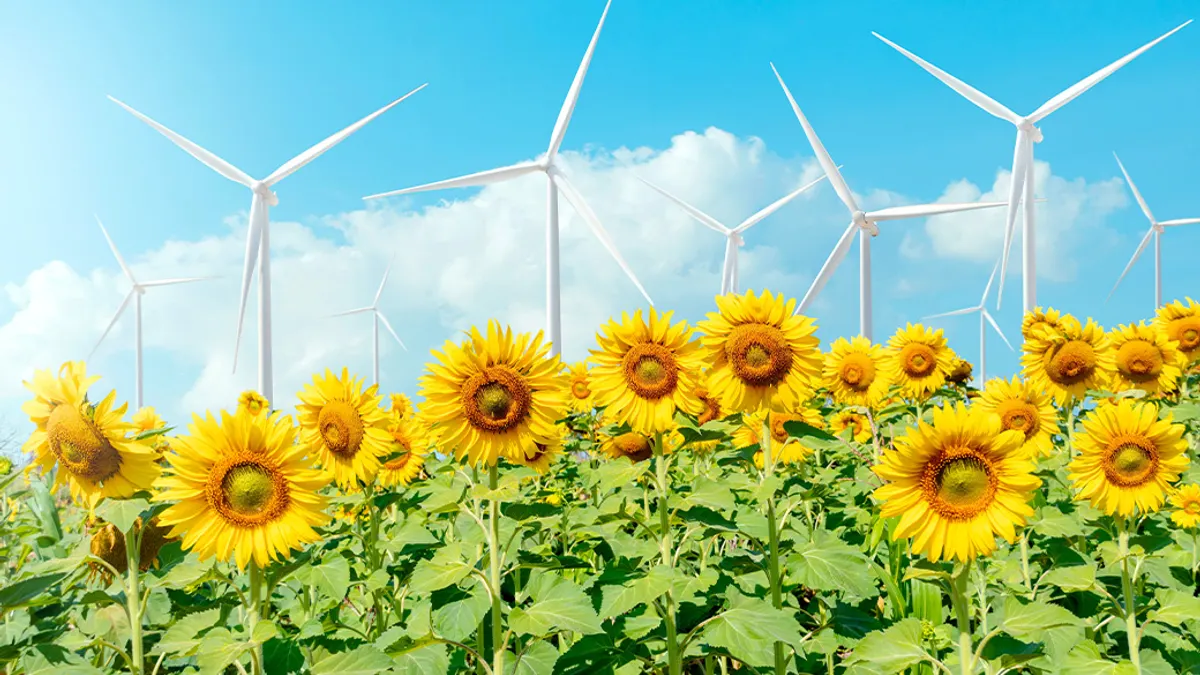 sunflower field and wind turbine electric generator on blue sky.