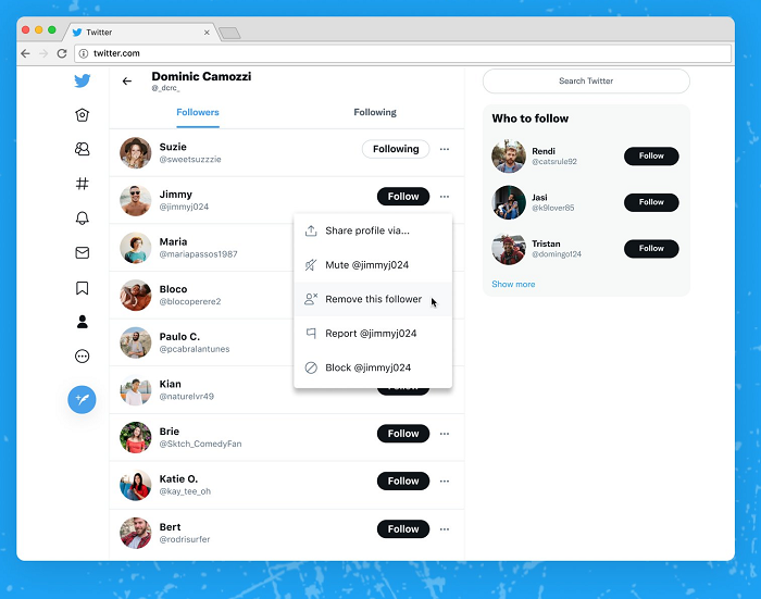 Remove followers on Twitter example