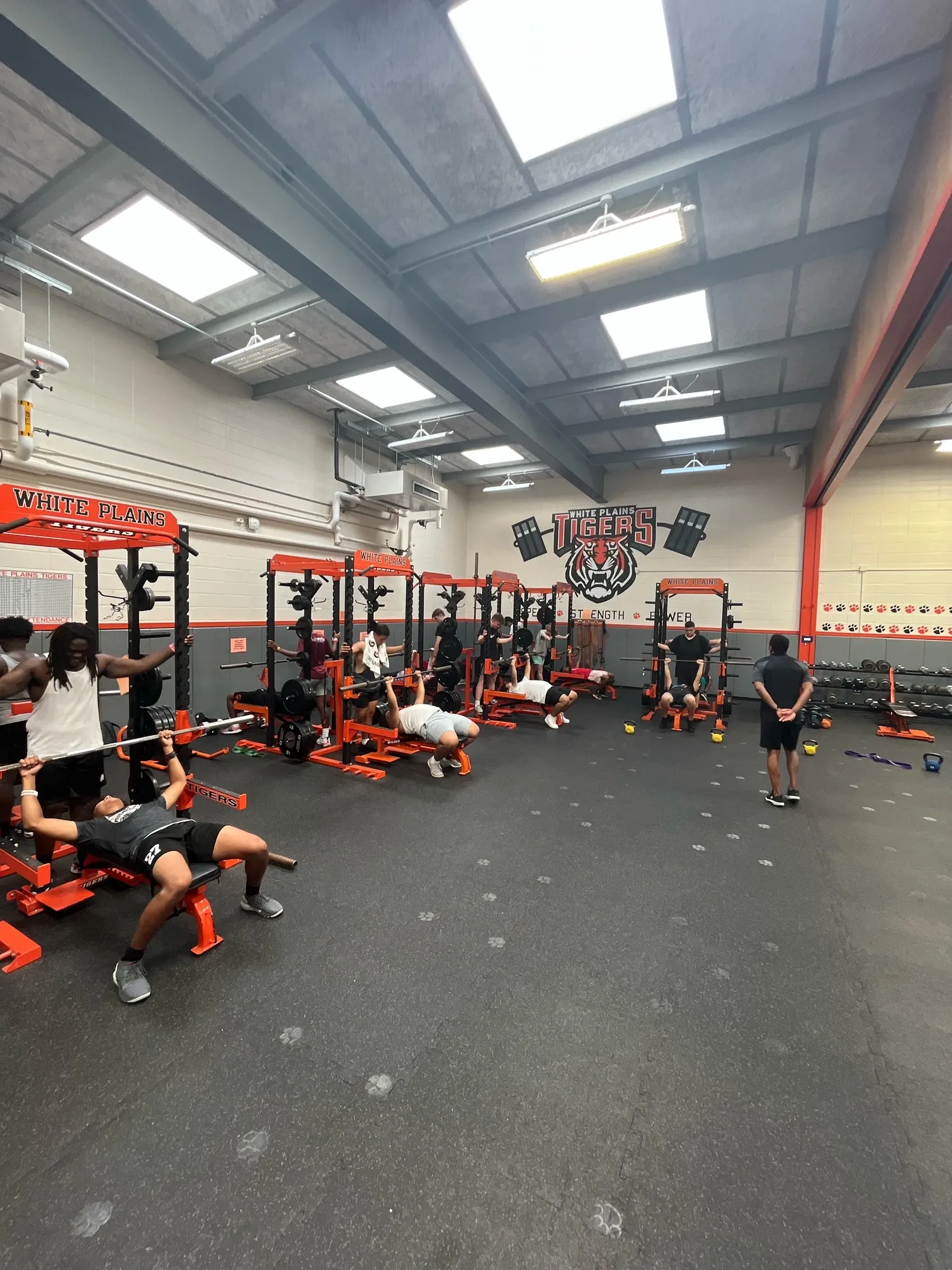 Students use various weight equipment in a high school gym in White Plains Public Schools. Some students are spotting those using the equipment. A school mascot of a tiger is painted on the far wall.