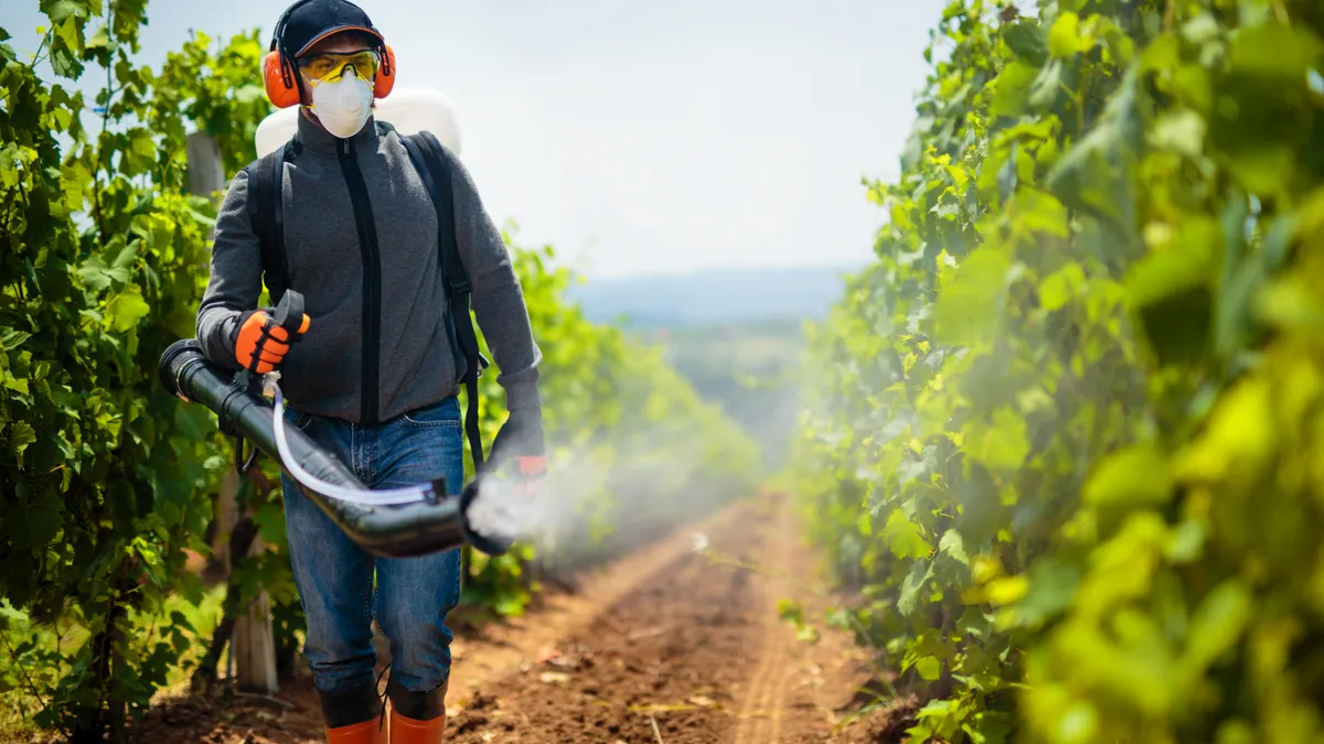 Agriculture worker taking care about vineyard