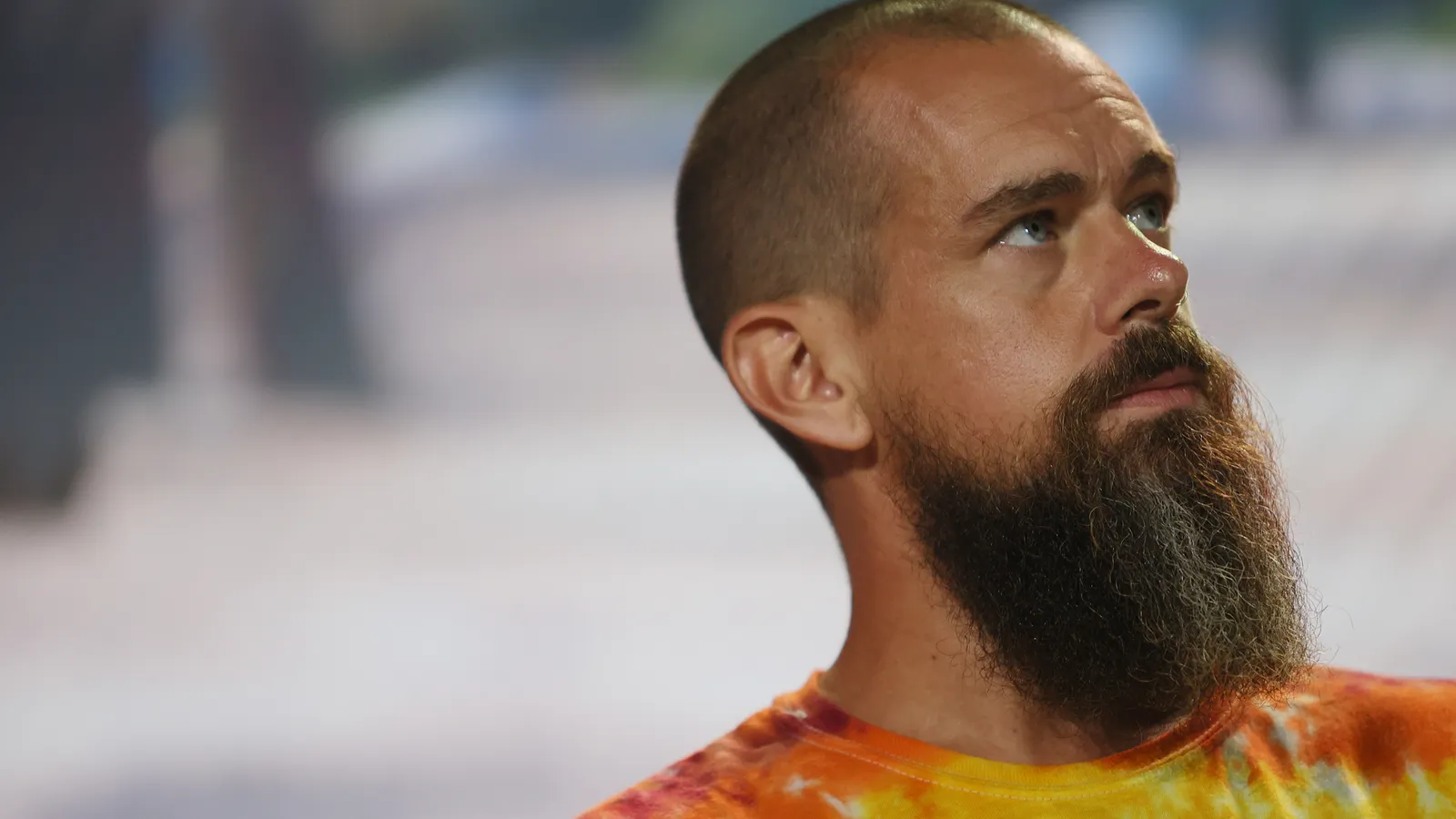 Sorry! Image not available at this time