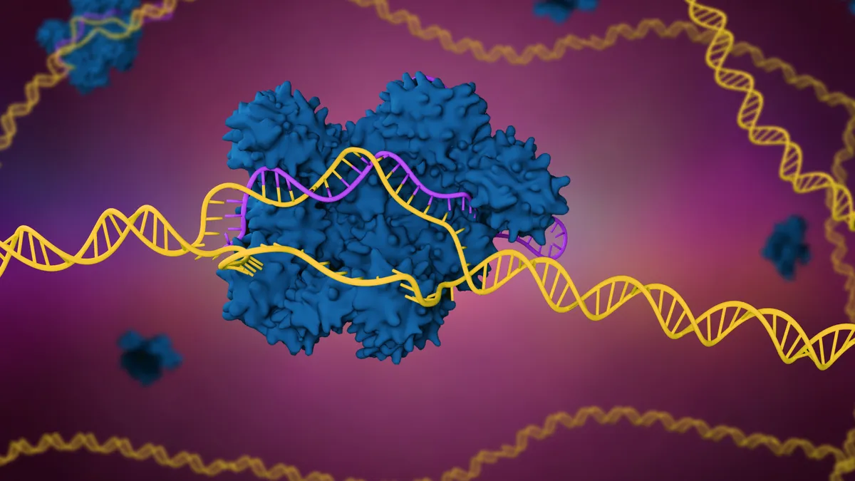 A 3D rendering of the CRISPR-cas9 gene editing system.