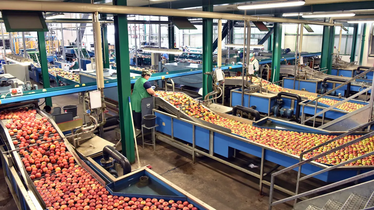 apple processing