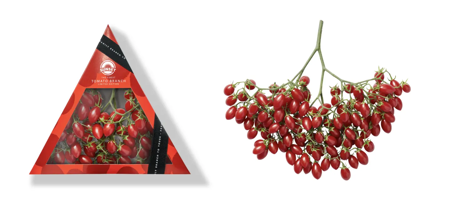 A red, triangle-shaped container with branding for Sunset tomatoes is displayed next to a branch with small tomatoes attached.