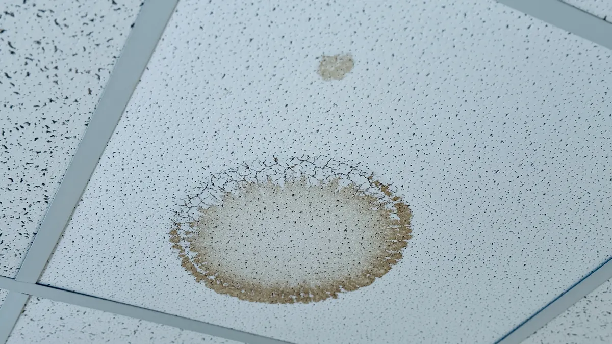 Drop ceiling tile’s with water leak damage.