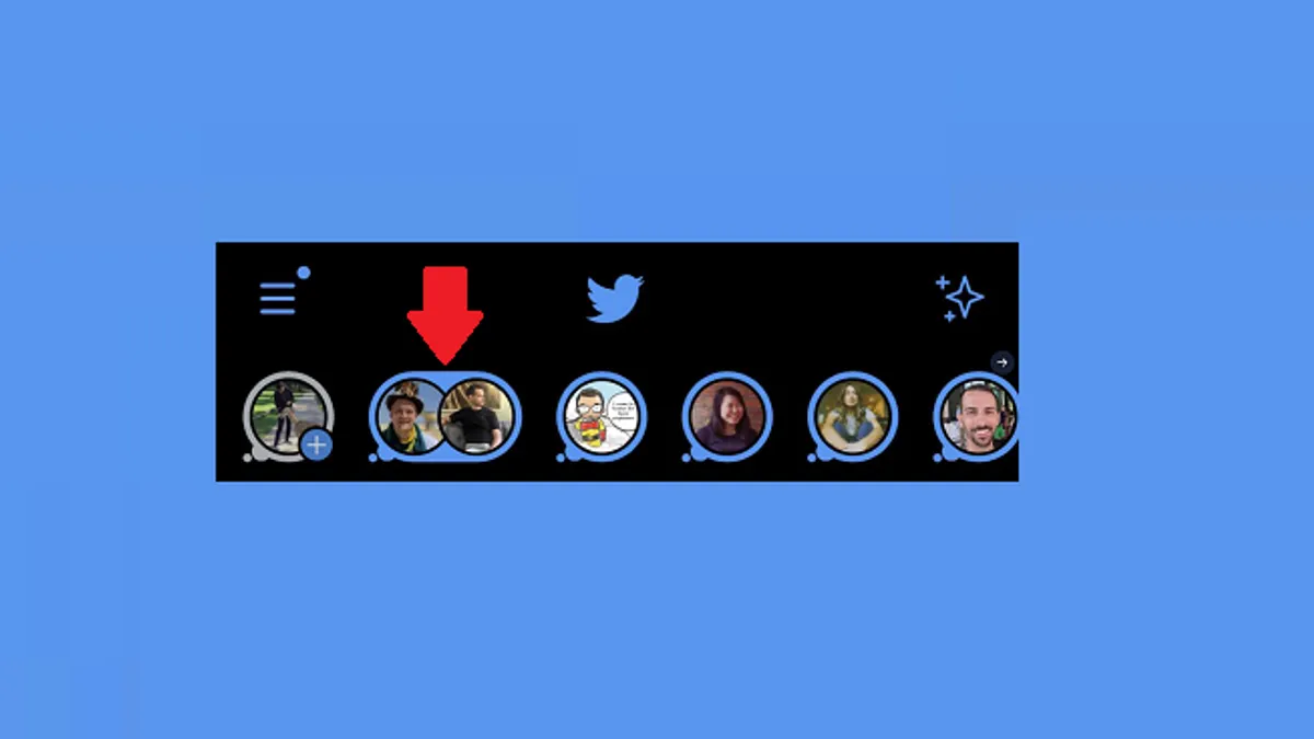 Twitter Fleets