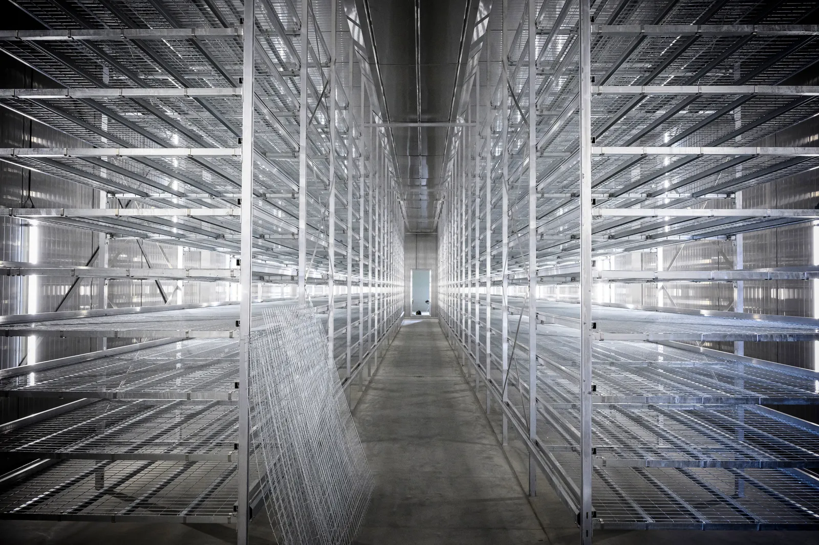 A long and tall corridor of empty metal shelving in a room with concrete floor and metal walls at MyForest Foods' Swersey Silos facility.
