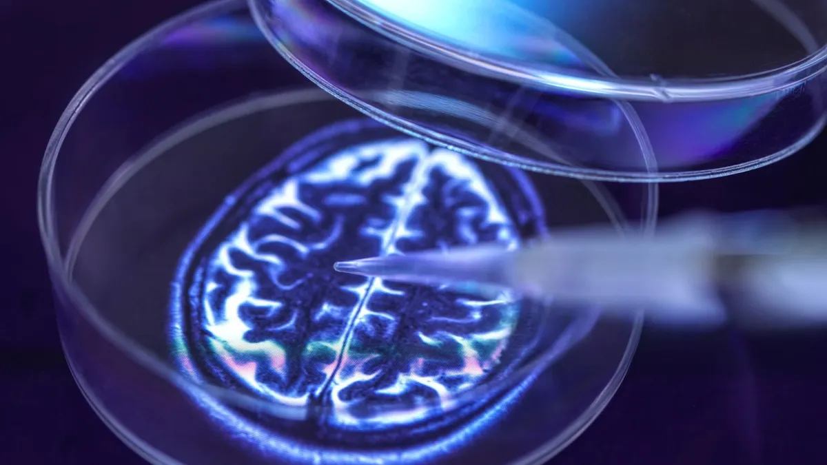 Brain pipette