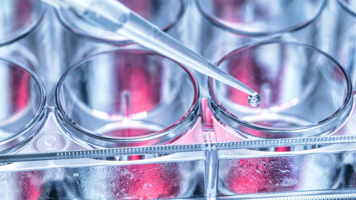 Scientist pipetting sample into a multi well plate