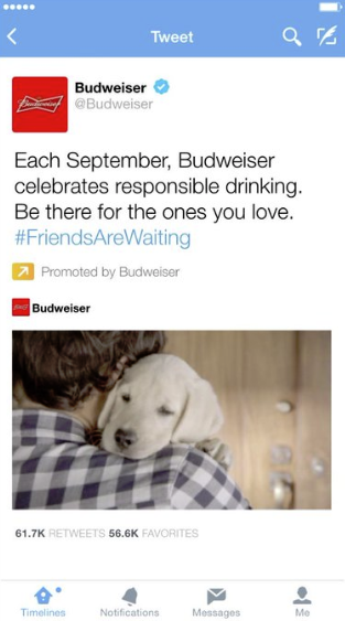Twitter Promoted Video example