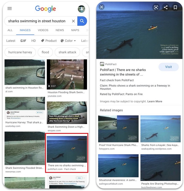 Google Image fact check example