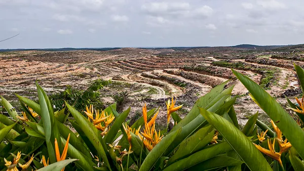 A view of land clearing for palm oil plantation in Siak district on July 11, 2014 in Riau province, Sumatra, Indonesia.