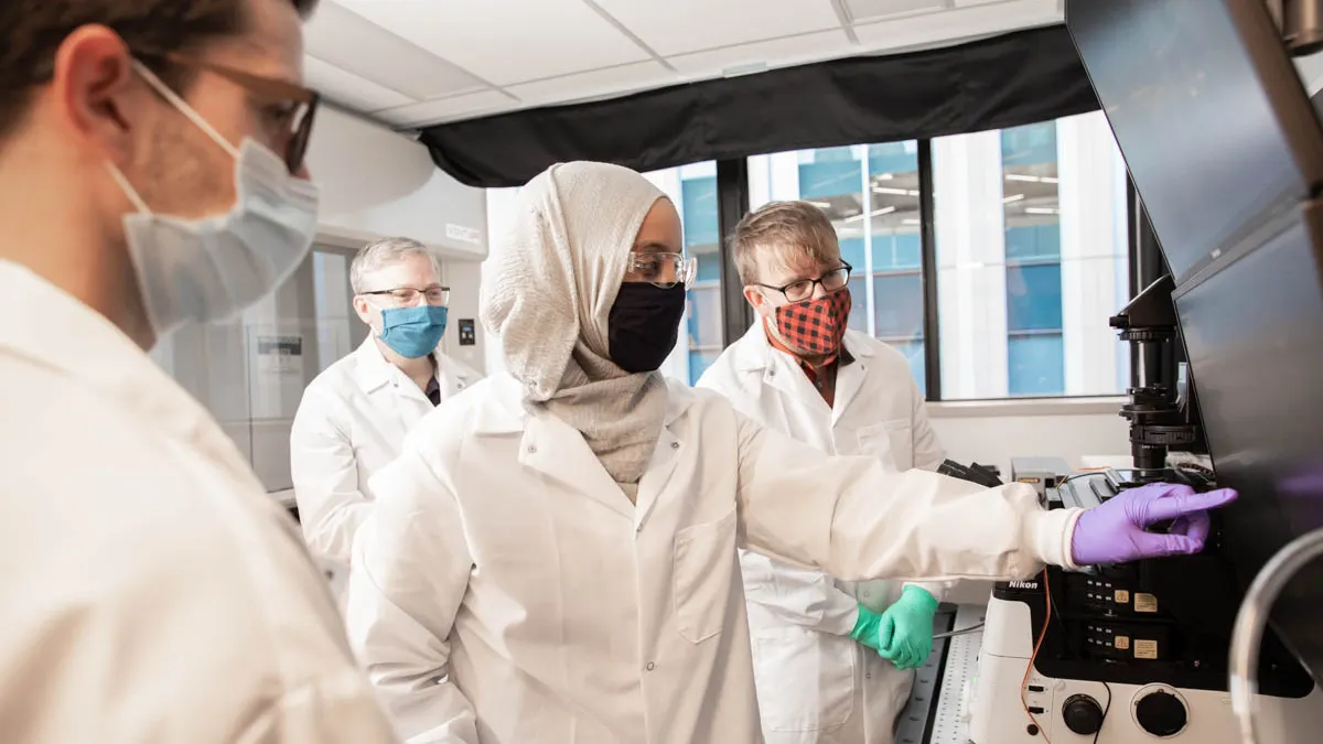 People work in a drug research laboratory
