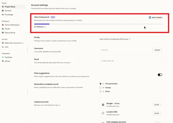 LinkedIn vibe coding