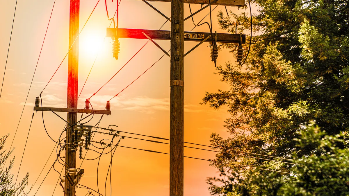 Power-lines by trees