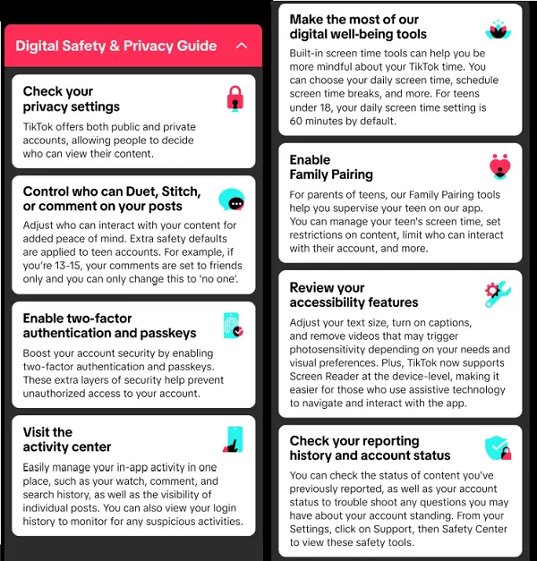 TikTok Safety Guide