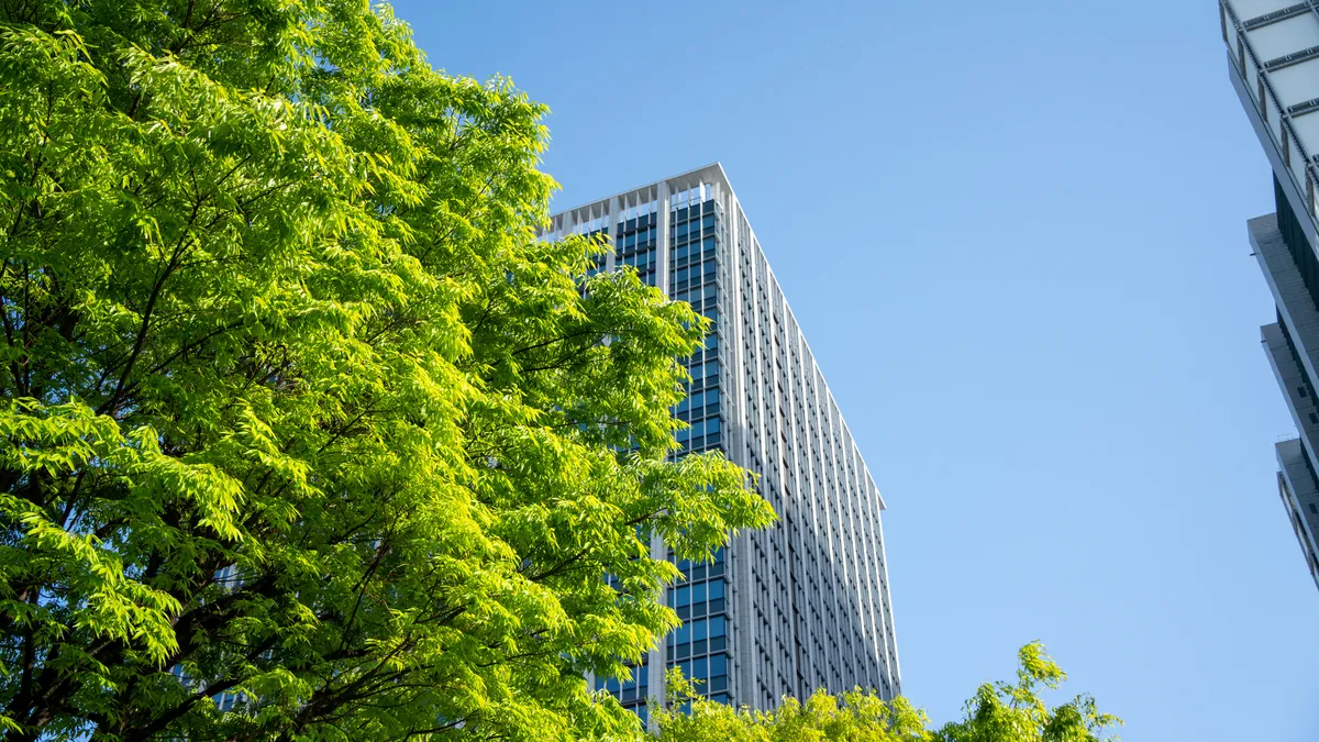 A tall building obscured behind a tree.