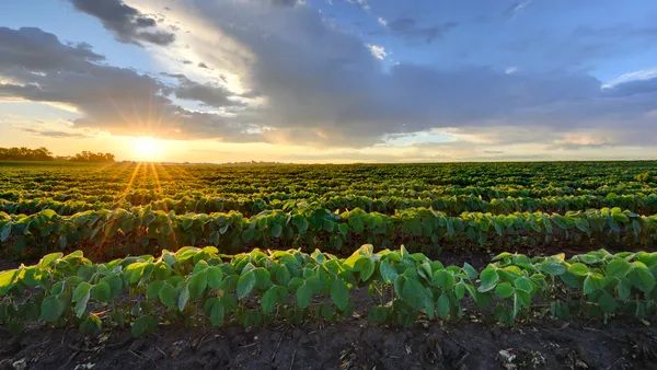 organic farm