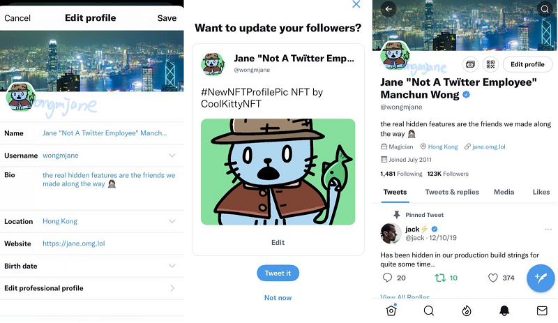 Twitter NFT display