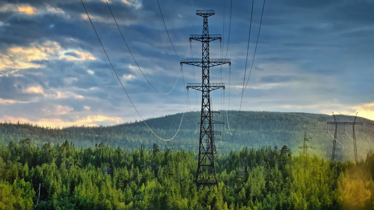 Electric power lines deep in the forest.