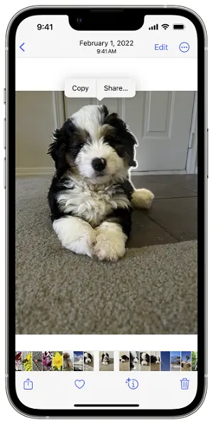 Apple sticker cut-out