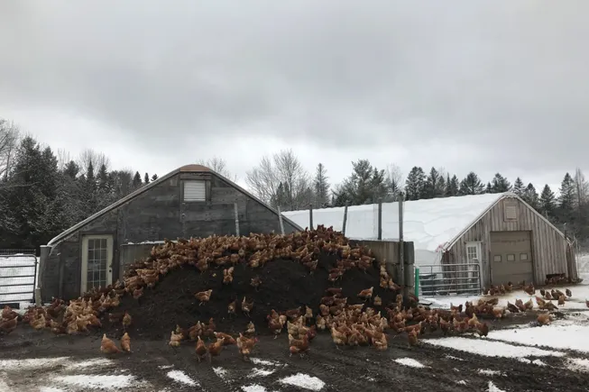 How depackaging is radically changing the organics recycling market in Vermont