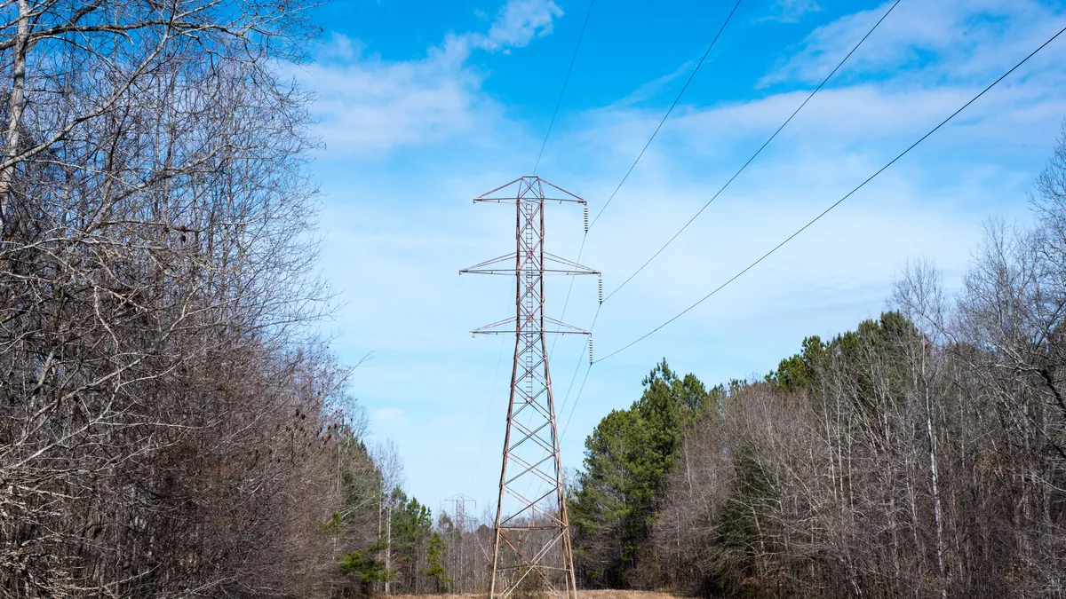 Power line in the forest.