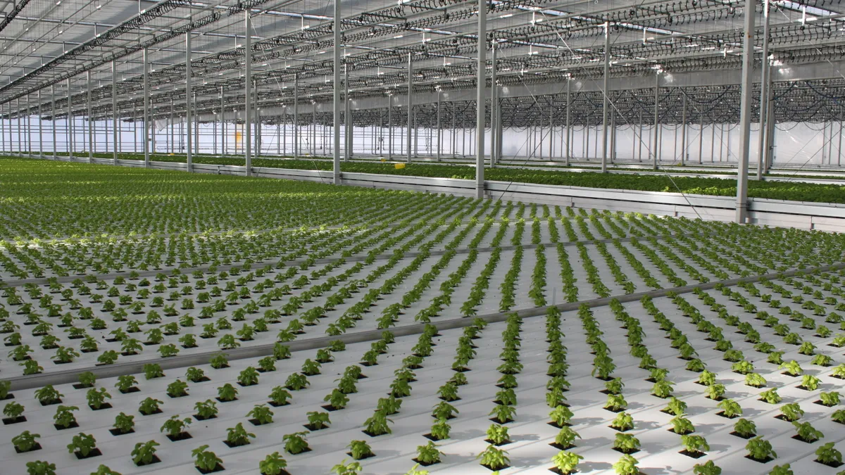 Edible Garden's advanced agriculture technology and environmentally controlled crops ensure food safety and quality.