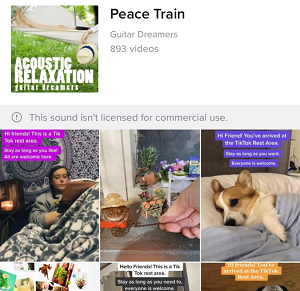 TikTok commercial usage warning